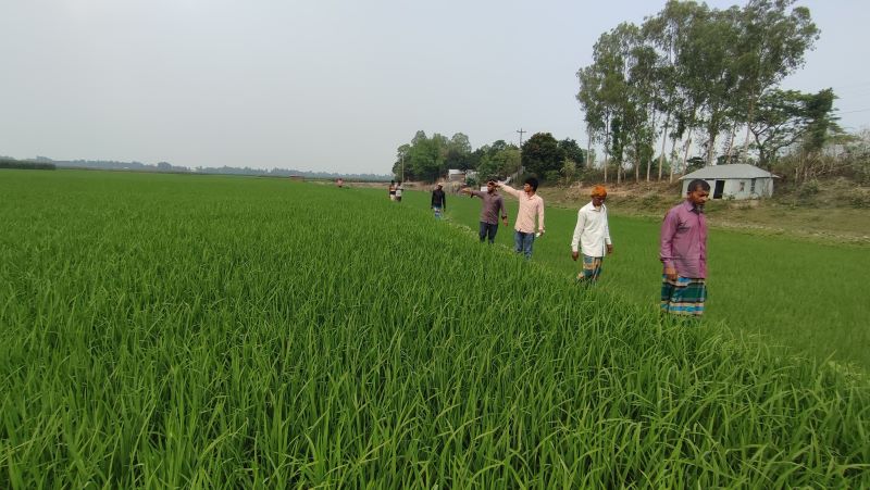 চাটমোহরের জমি জবর দখলের অভিযোগ